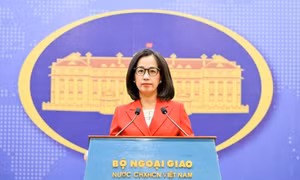 Phản ứng của Việt Nam về việc Trung Quốc mở trung tâm thương mại tại Hoàng Sa