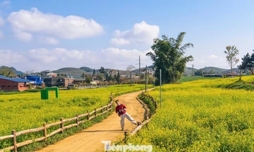 Lạc bước giữa bạt ngàn hoa cải Mộc Châu