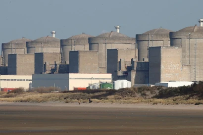 Sứa biển làm tê liệt nhà máy điện hạt nhân Pháp