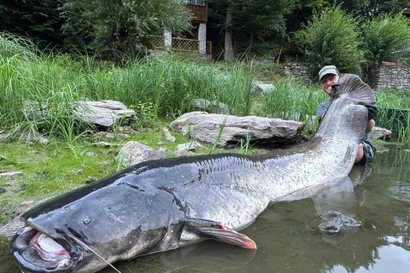 Cần thủ câu được 'quái ngư' cá trê dài gần 2,7 m