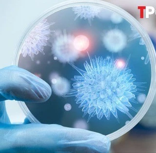 NÓNG 28/1: Đánh giá mới nhất của WHO về rủi ro lây lan virus Nipah từ Ấn Độ