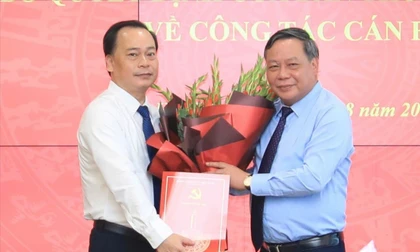 Điều động, bổ nhiệm nhân sự ở Hà Nội, TPHCM và Hà Tĩnh