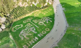 Khách nước ngoài thích thú với những trải nghiệm làm nông ở Việt Nam