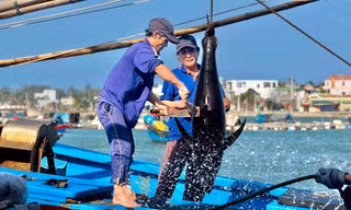 Gần lắm, Gạc Ma... Bài cuối: Những 'chiến sĩ' không quân hàm 