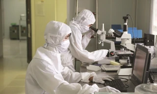 Nhà khoa học làm việc trong phòng nghiên cứu. Ảnh: HOA BAN