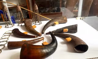 Mỗi chiếc tù và của Tiến sĩ Lâm là một câu chuyện hấp dẫn