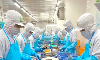 Nhiều doanh nghiệp cần vốn mua thêm nguyên liệu, thuê thêm nhân công để tăng sản xuất cuối năm (ảnh tại Công ty Sài Gòn Food). Ảnh: U.P