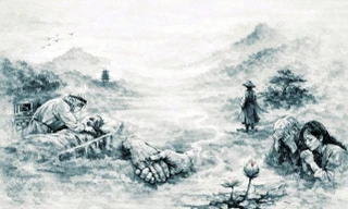 Đi về miền tỉnh thức