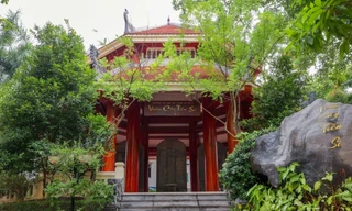 Bằng tiến sĩ giả và lỗ hổng quản lý