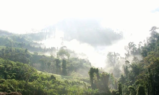 Xa xăm Trường Sơn. Ảnh: Trần Tuấn