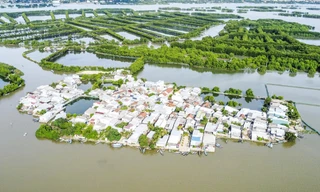 Có một ốc đảo giữa đầm 