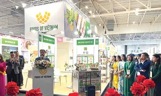 Hành trình đưa hương vị Việt vươn ra thế giới