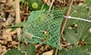 Thủ phủ sân Ngọc Linh Ảnh: Nguyễn Ngọc