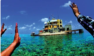 Những cái vẫy tay lưu luyến với đất liền