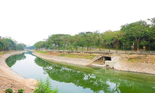 Sông Tô Lịch đang dần "hồi sinh". Ảnh: Trọng Tài