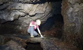 Kho báu giữa đại ngàn 