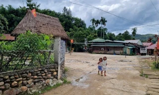 Có một Đà Nẵng dọc rẻo Trường Sơn, Bài cuối: Khát vọng đổi thay nơi đại ngàn 