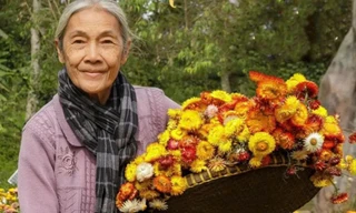 Cát-xê của “sao” gạo cội 