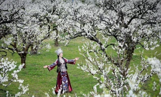 Dịp nghỉ Tết Dương lịch 2026: Du lịch sôi động