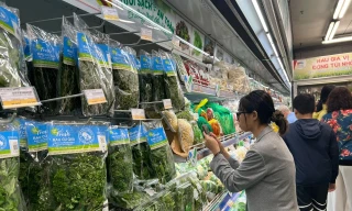 TPHCM đang tăng cường nhiều giải pháp kiểm tra, kiểm soát chất lượng thực phẩm trên địa bàn