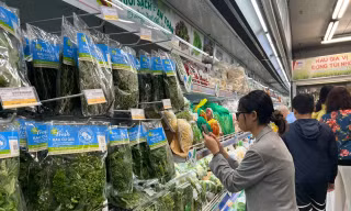 TPHCM đang tăng cường nhiều giải pháp kiểm tra, kiểm soát chất lượng thực phẩm trên địa bàn