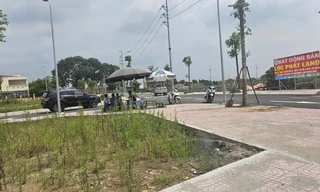 Giá đất bị đẩy lên cao tại nhiều phiên đấu giá ở Hà Nội Ảnh: Phan Thiên 