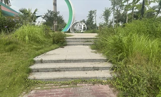 Vườn hoa cây xanh bị bỏ rơi? 