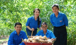 Công đoạn đóng gói măng trước khi xuất bán