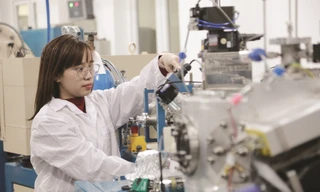 Nhà khoa học làm việc trong trường đại học