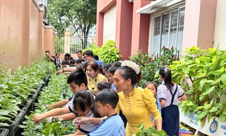 TPHCM: Hoa mắt với các khoản thu từ chương trình học liên kết