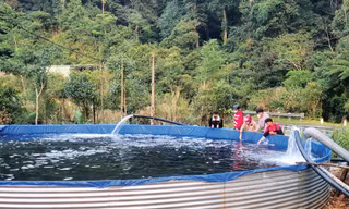 Khu vực nuôi cá hồi bằng nguồn nước tự nhiên dẫn từ suối về Ảnh: T.H