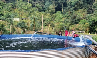 Khu vực nuôi cá hồi bằng nguồn nước tự nhiên dẫn từ suối về Ảnh: T.H