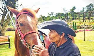 Ông Nguyễn Kim Tài xem ngựa như một người bạn đồng hành