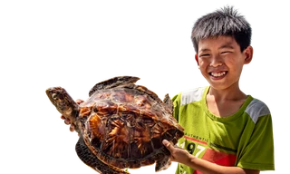 Con đồi mồi (tiêu bản) gợi nhớ đến Hòn Sơn Rái một thời bạt ngàn cua, ốc, rái cá, rùa biểnẢnh: Lê Văn Chương