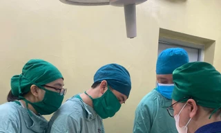 Đào tạo đại học khối sức khỏe: Cần linh hoạt quy định số lượng mã ngành 