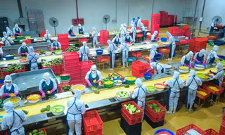 DOVECO - 70 năm làm cho "đất nở hoa”