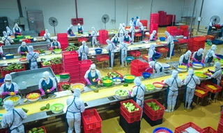 DOVECO - 70 năm làm cho "đất nở hoa”