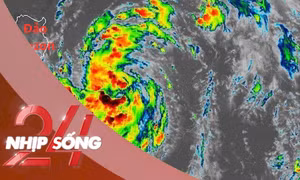 NHỊP SỐNG 24: Bão Matmo cách Biển Đông 650km, ảnh hưởng trực tiếp Bắc Bộ ngày 6/10