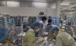 Việt Nam chính thức phê duyệt kỹ thuật hồi sinh tim phổi bằng tuần hoàn ngoài cơ thể