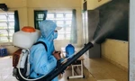 TPHCM: Dịch sốt xuất huyết 'tấn công' trường học
