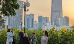 Giới trẻ hào hứng check-in cùng hoa hướng dương giữa lòng Sài Gòn