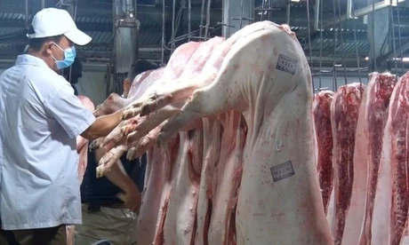 Cựu cán bộ Cục Thú y: 'Kiểm dịch là mảnh đất màu mỡ, béo bở nhất'