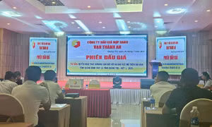 Tỉnh uỷ Quảng Trị ban hành chỉ thị chấn chỉnh hoạt động đấu thầu, đấu giá sau nhiều dấu hiệu bất thường