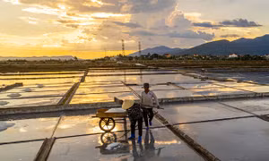 Cánh đồng muối cuối cùng đẹp như tranh ở Quảng Trị 