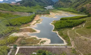 Nước hồ Lòng Đèn chuyển màu đen bất thường, người dân nghi từ trang trại nuôi 40.000 con lợn 
