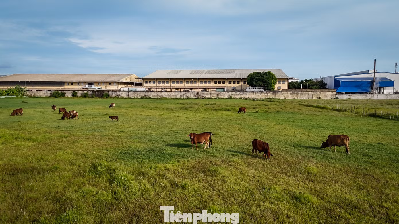 tp-c_kcn-my-trung-7.jpg