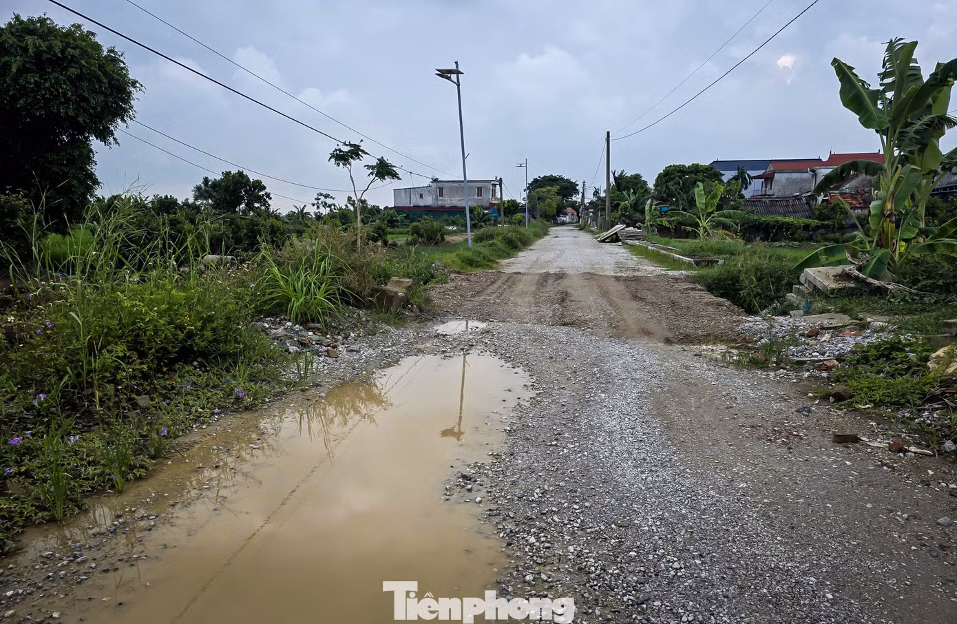 tp-c_duong-nb-30.jpg