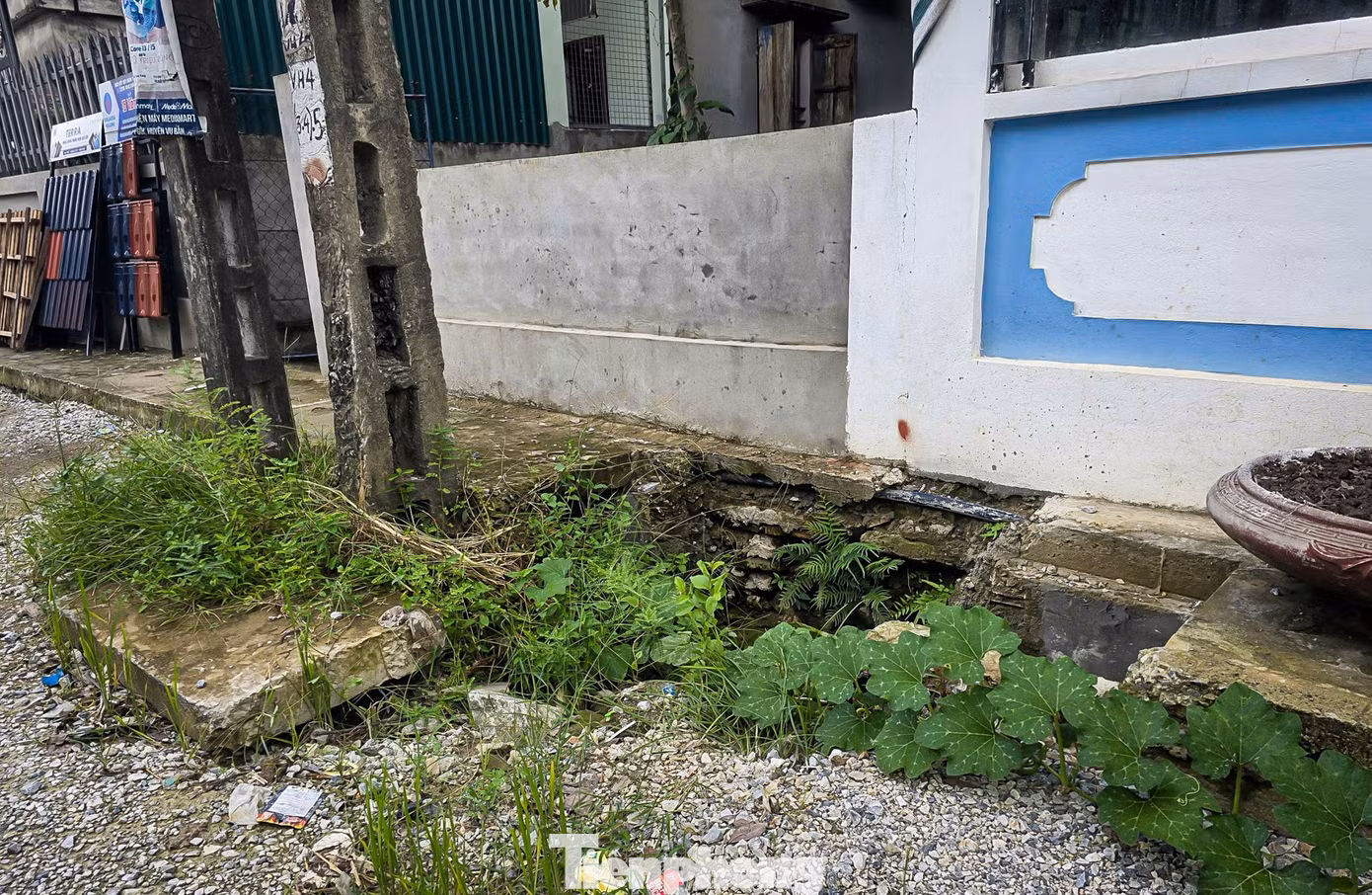 tp-c_duong-nb-34.jpg