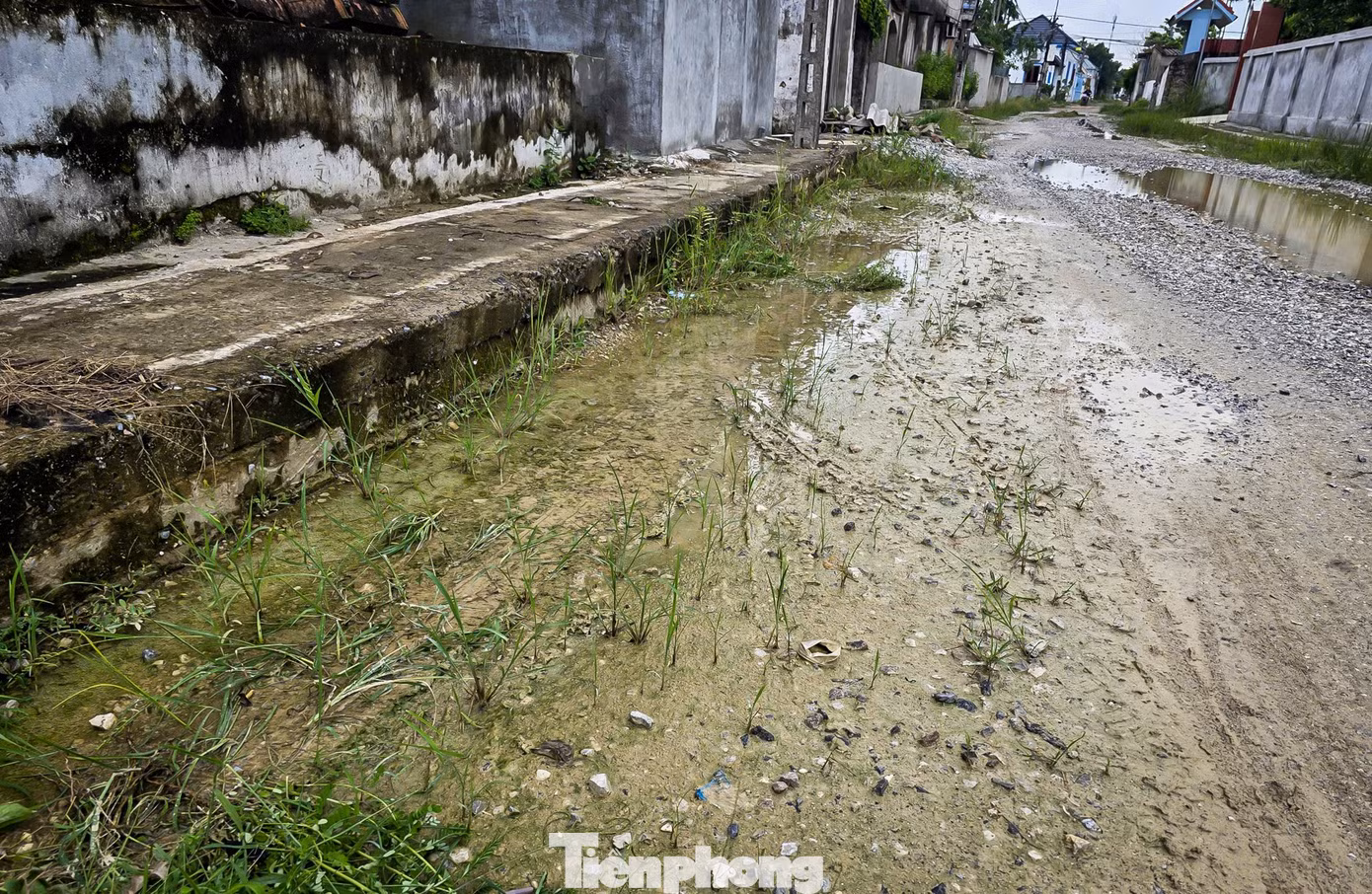 tp-c_duong-nb-28.jpg