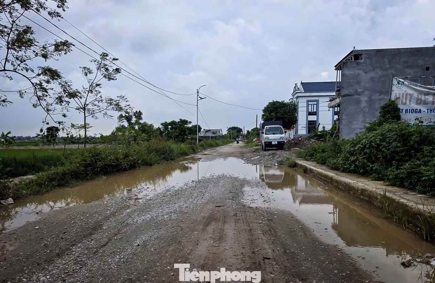 tp-c_duong-nb-32.jpg